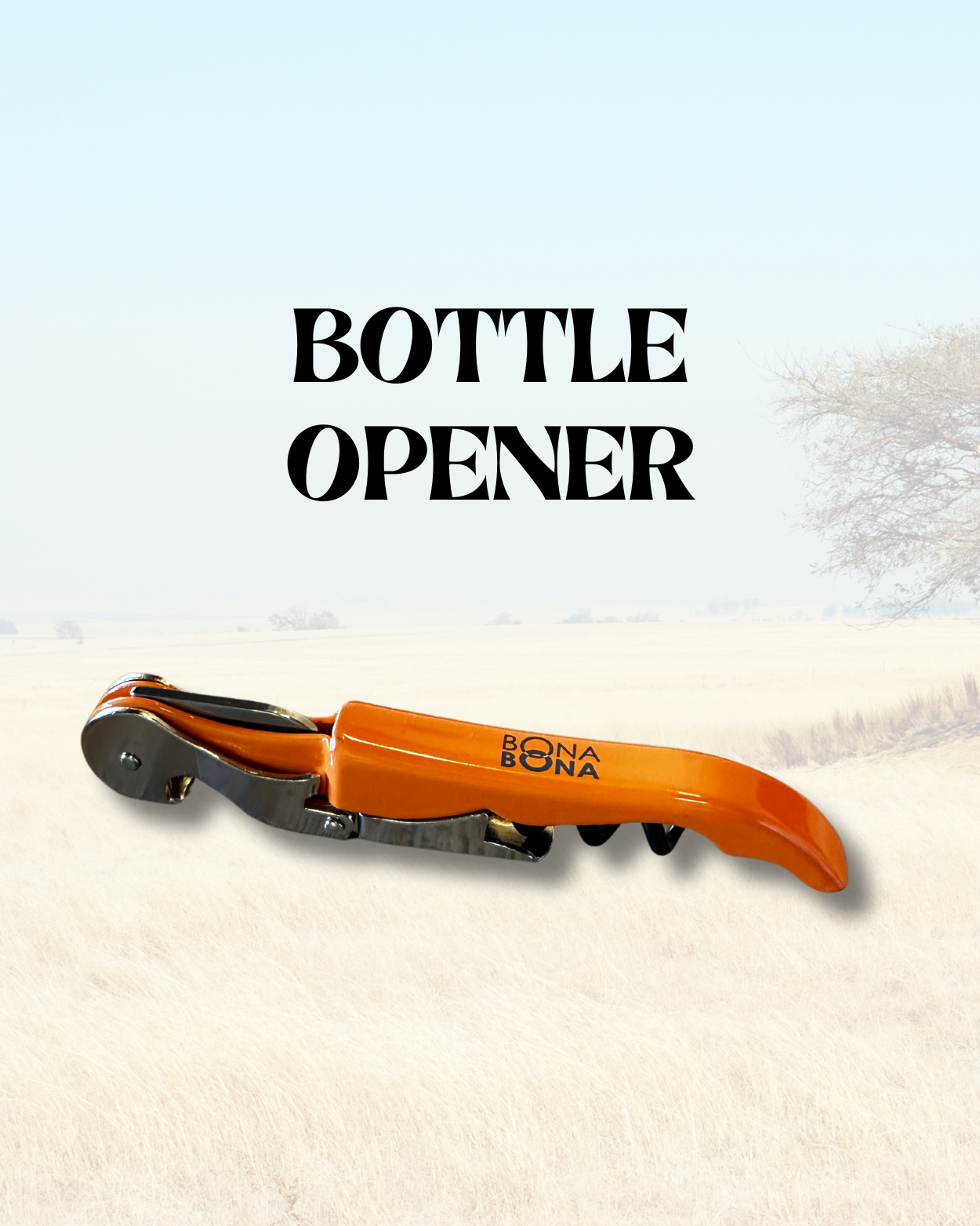 Bottle Opener